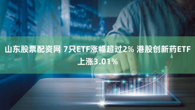 山东股票配资网 7只ETF涨幅超过2% 港股创新药ETF上涨3.01%
