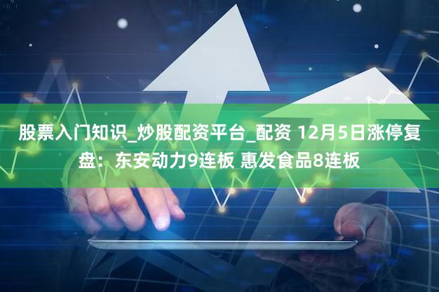 股票入门知识_炒股配资平台_配资 12月5日涨停复盘:东安动力9连板 惠发食品8连板