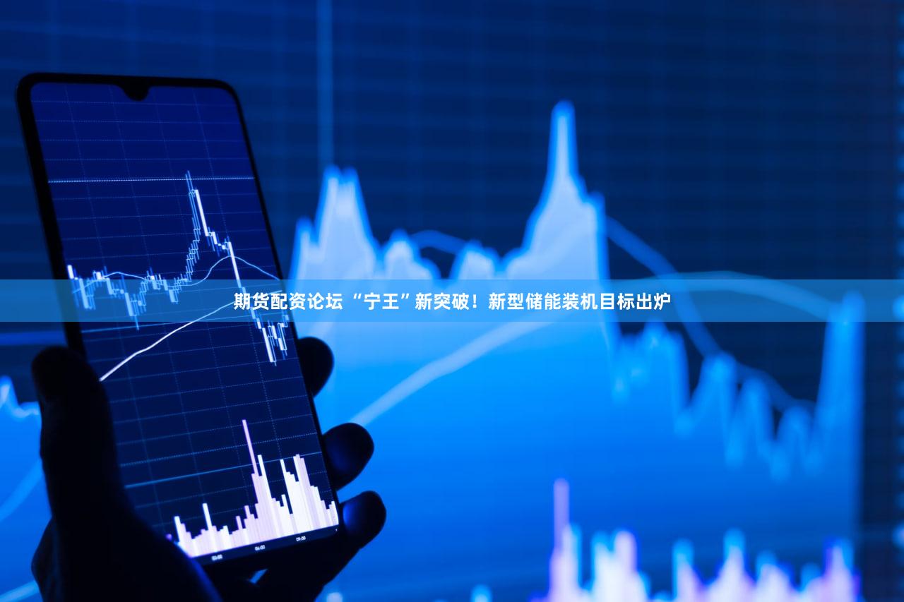 期货配资论坛 “宁王”新突破！新型储能装机目标出炉