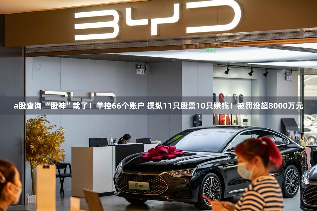 a股查询 “股神”栽了！掌控66个账户 操纵11只股票10只赚钱！被罚没超8000万元