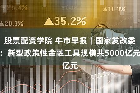 股票配资学院 牛市早报｜国家发改委：新型政策性金融工具规模共5000亿元