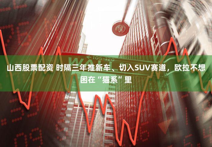 山西股票配资 时隔三年推新车、切入SUV赛道，欧拉不想困在“猫系”里