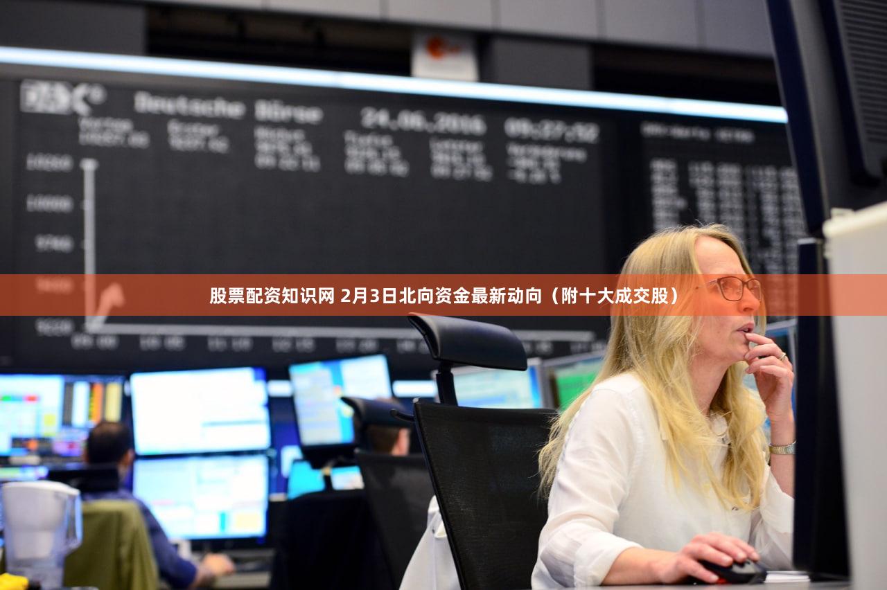 股票配资知识网 2月3日北向资金最新动向（附十大成交股）