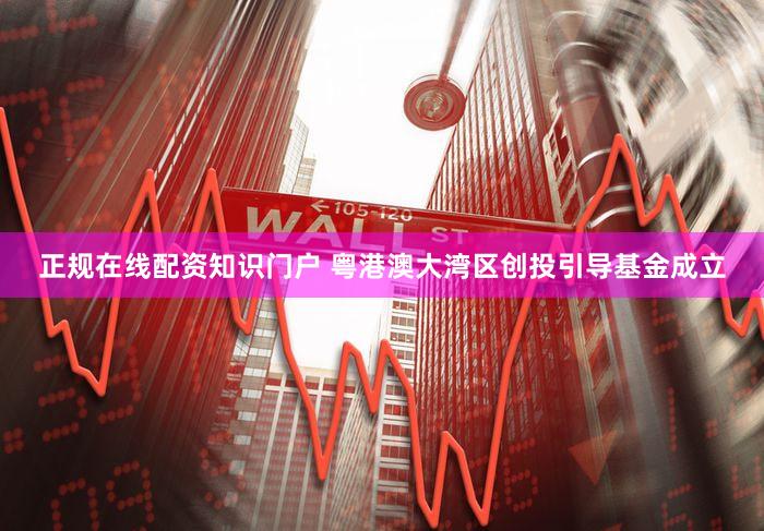 正规在线配资知识门户 粤港澳大湾区创投引导基金成立